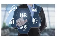 Transforming Businesses with Our HR and Payroll Management