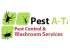Are you looking for the best Rodent Control in Cork?