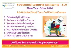 Accounting Training in Delhi, SLA Institute, Janakpuri, SAP FICO ,100% Job, Update New Skill 