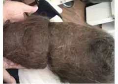 UK Tangled Matted Hair Detangler Techs Wanted- Detanlge Techs Wanted In London