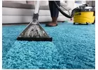 Best Carpet Cleaning in Oakville