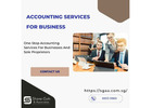 Expert Accounting Services for Business Success