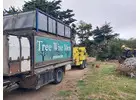 If you are looking for Tree Removal in Baxter