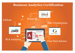 Business Analyst Course in Delhi, 110096. Best Online Live Business Analytics Training in Chennai 