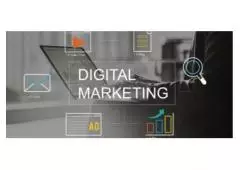 Looking For Digital Marketing Freelancers