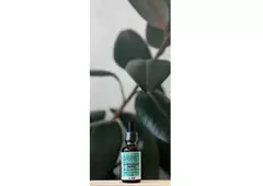 Pure Wormwood Liquid Extract - Natural Remedy