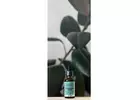 Pure Wormwood Liquid Extract - Natural Remedy