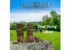 cow dung cake for holi