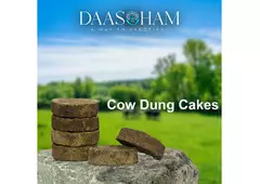 Gir Cow Dung  In Visakhapatnam