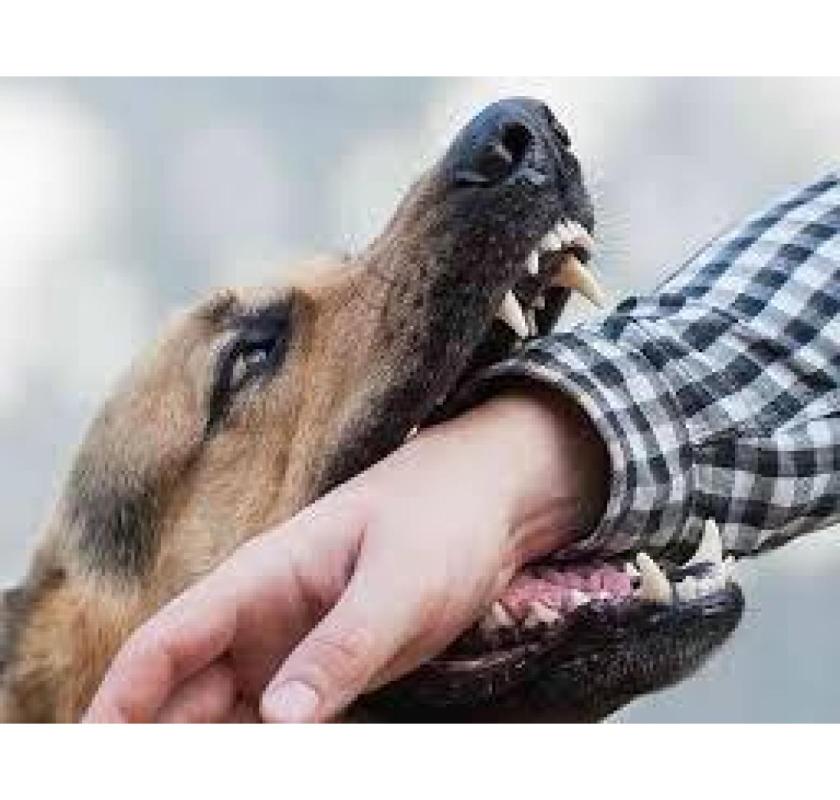 Dog Bite Injury Lawyers Desert Hot Springs