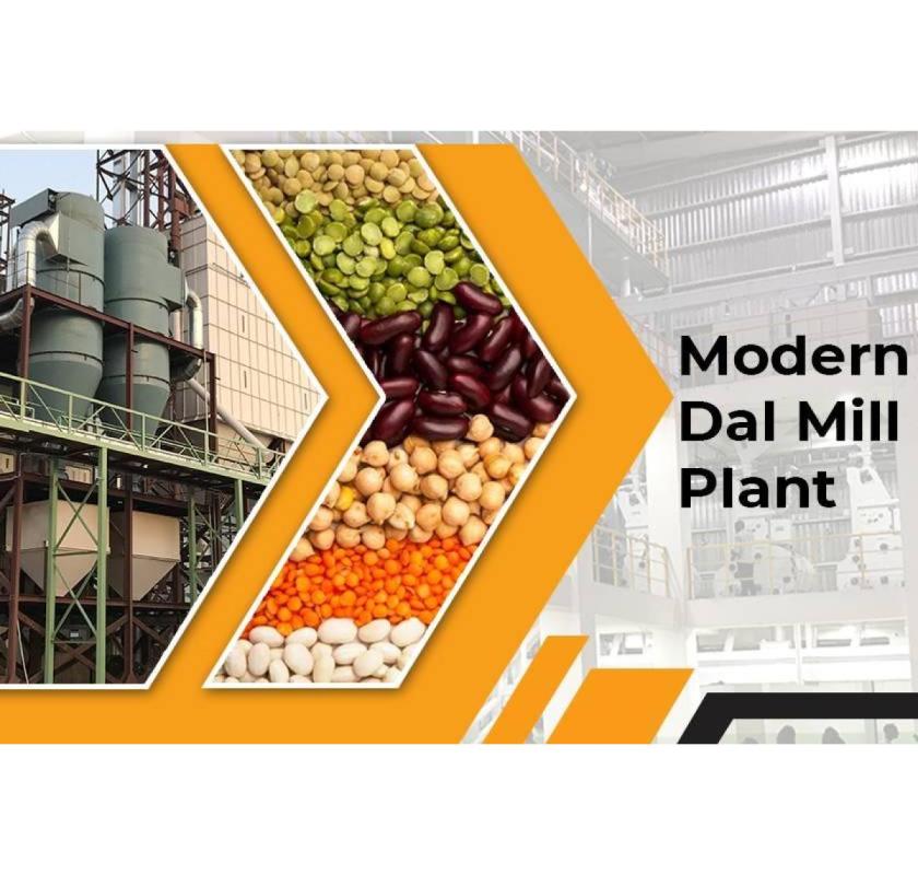 How to Establish a Dal Mill Plant to Expand Your Grocery Business?