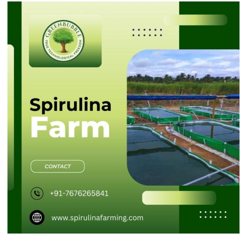 Organic Spirulina Farming | Efficient Spirulina Algae Cultivation