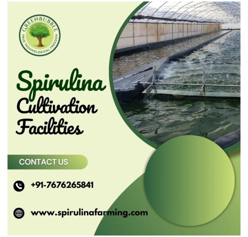 Spirulina Cultivation |  Sustainable Farming for Quality Spirulina