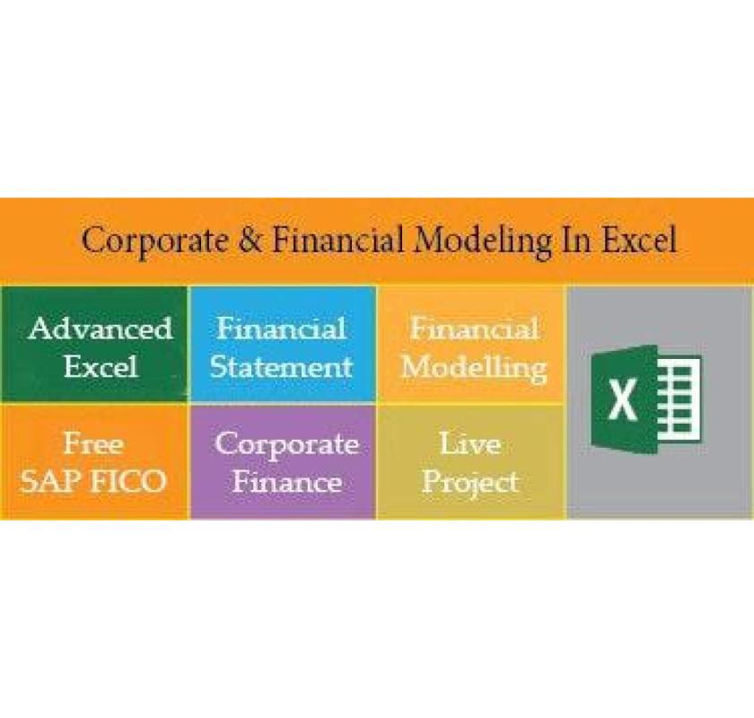 Financial Modelling Certification Course in Delhi, 110030. Best Live Financial Analyst 