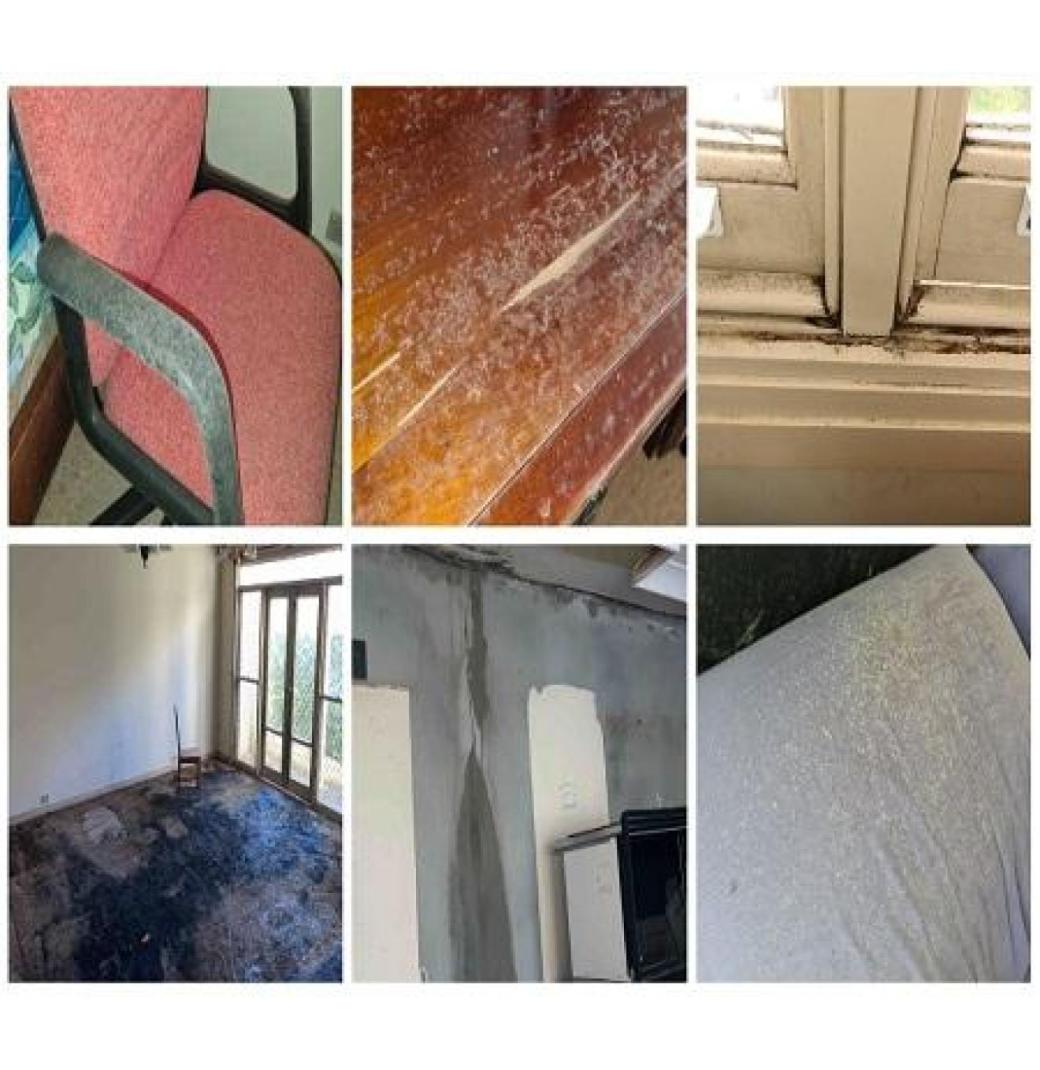 Mould Removal | Mould Testing Sydney | Integrated Environmental