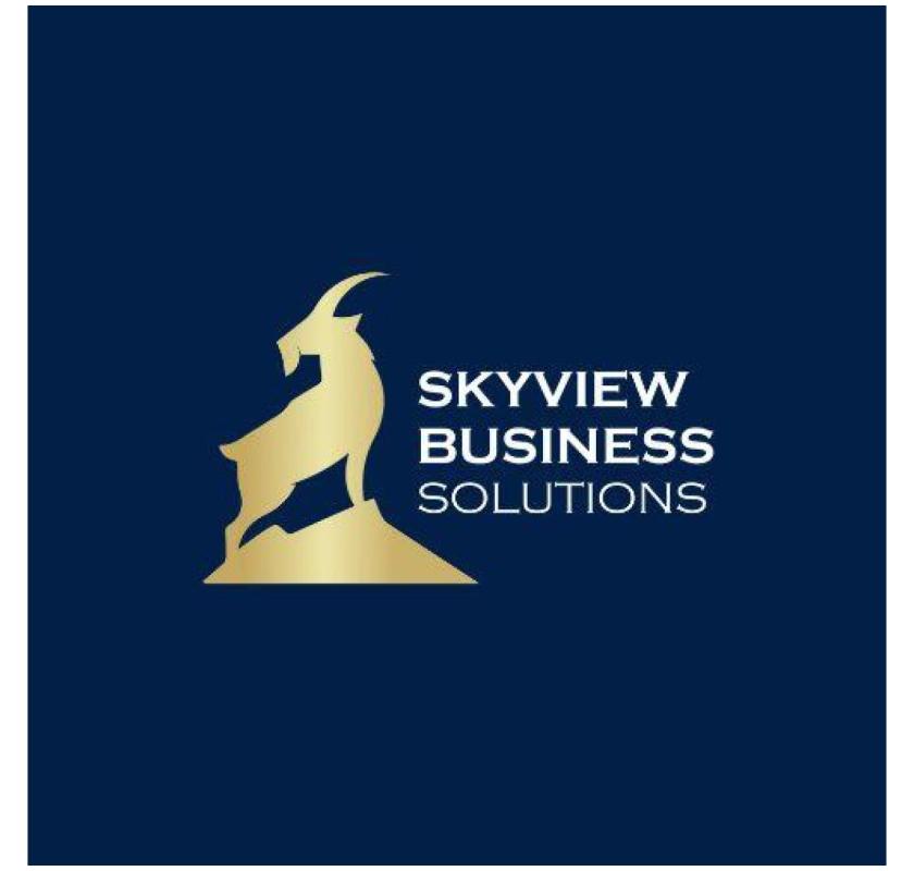 Best Digital Marketing Services in the USA by Skyview Business Solution