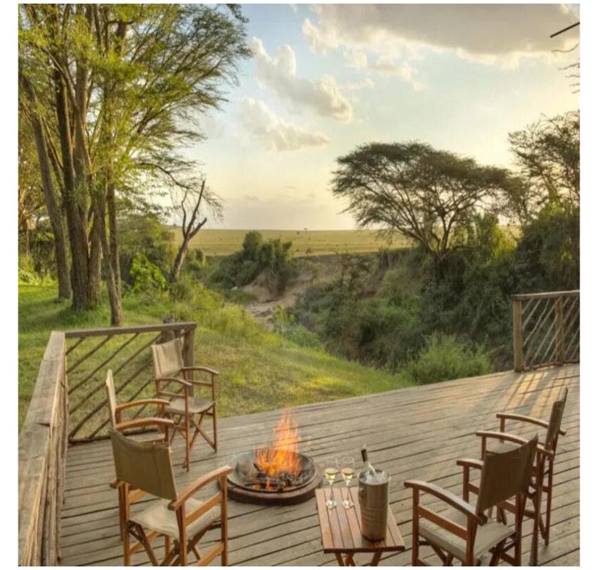 best kenya safari tour operators