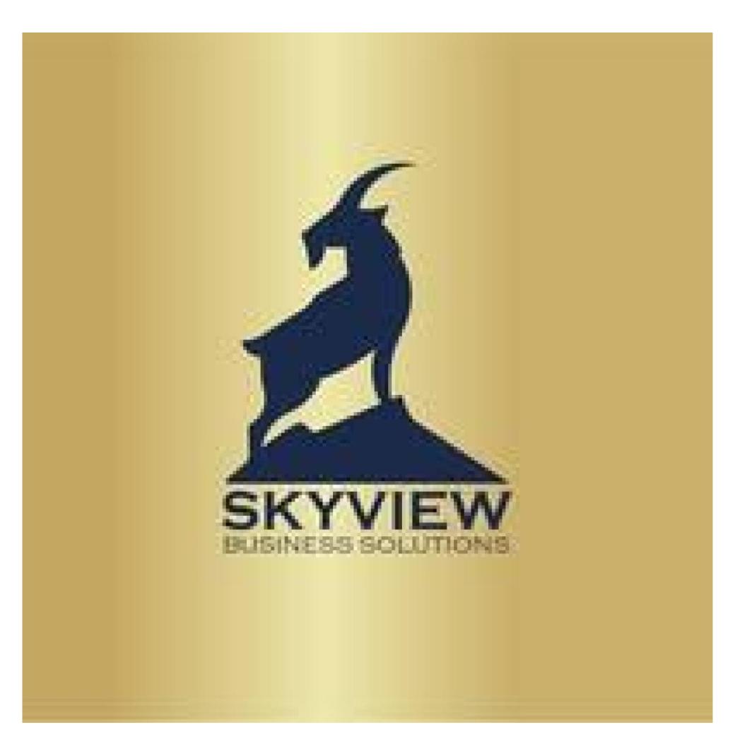KPI Management Company in the USA | Skyview Business Solutions