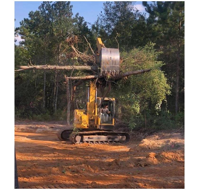 Land Clearing North Shore