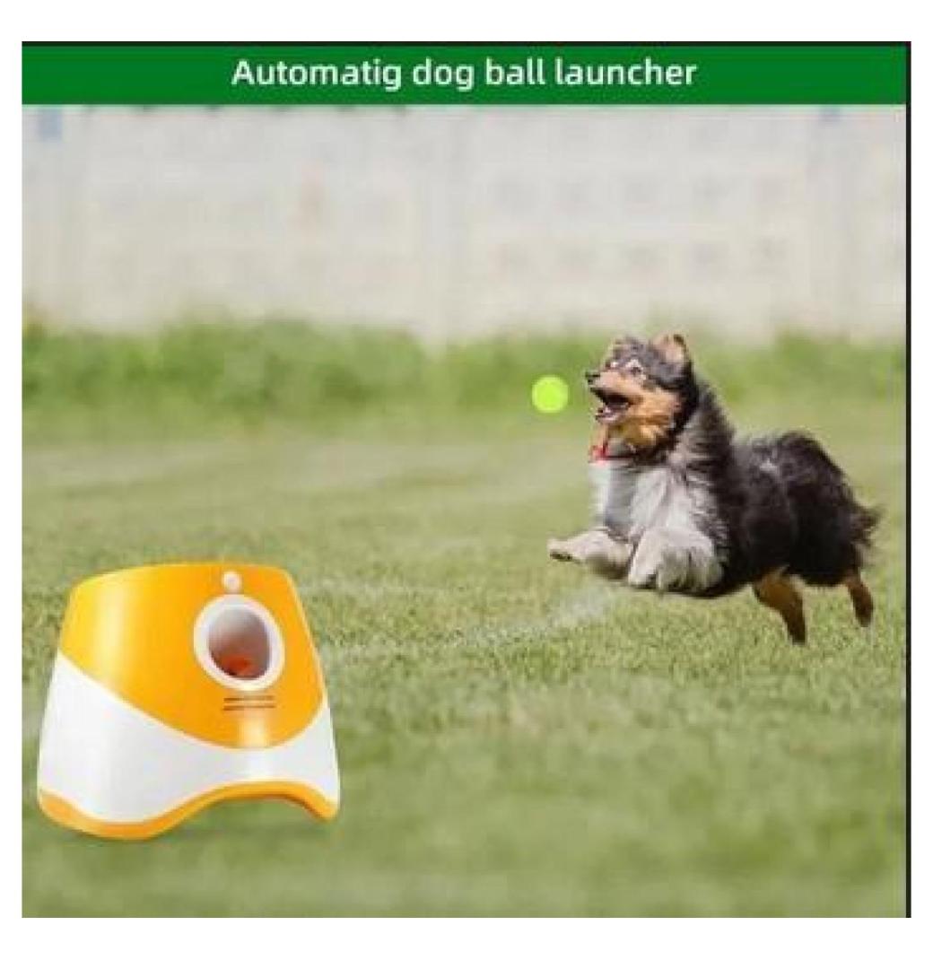 Automatic Dog Ball Launcher Toy