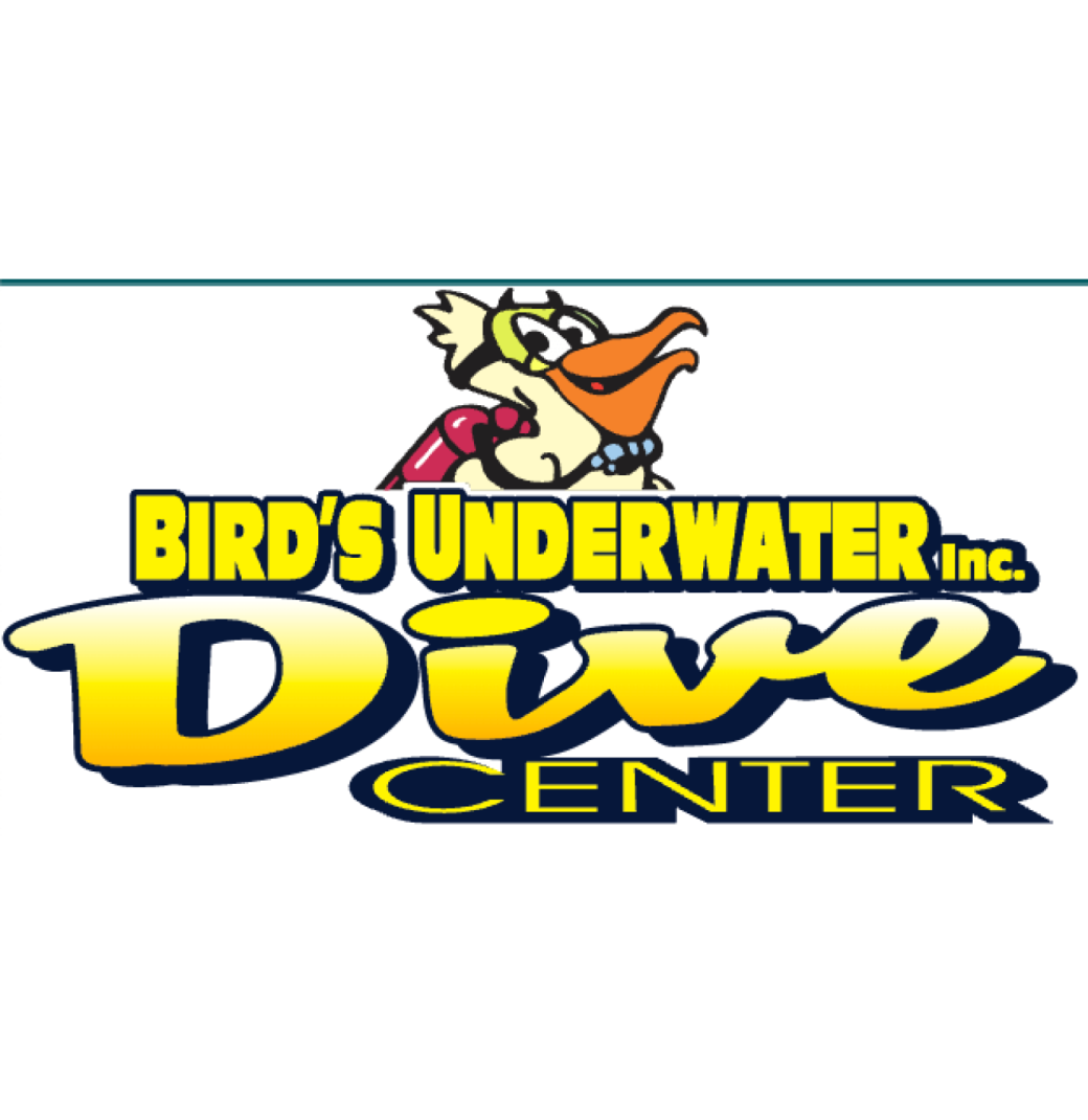 Birds Underwater