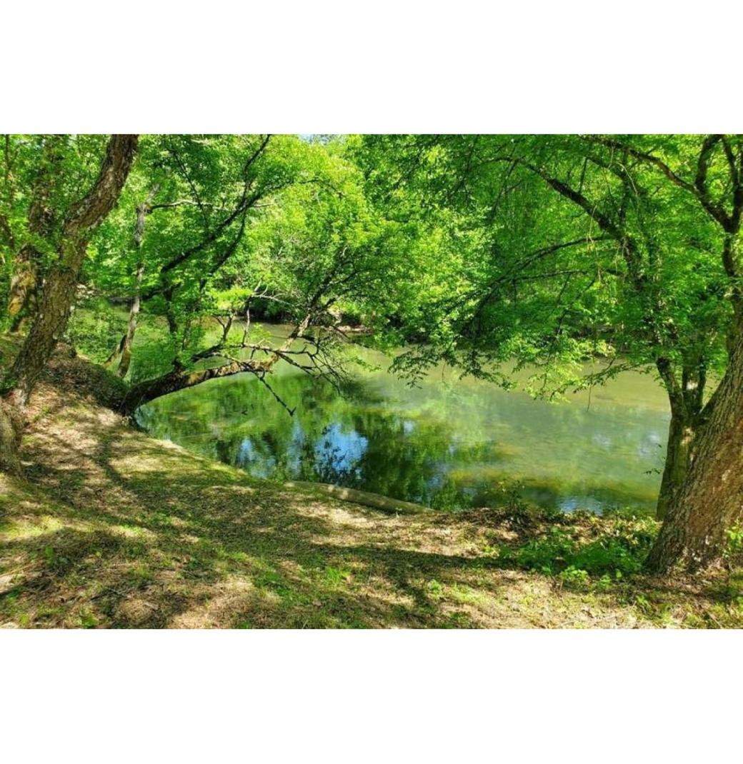 15 Acres in Wilkes County, NC – Mountain Views & Creek – Only $45,000! - 1/3