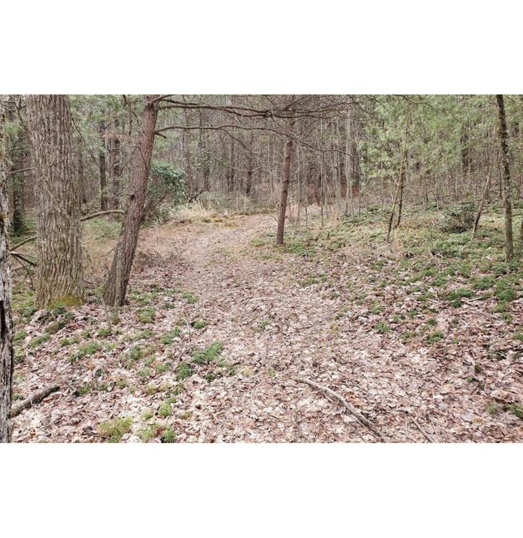 15 Acres in Wilkes County, NC – Mountain Views & Creek – Only $45,000! - 2/3