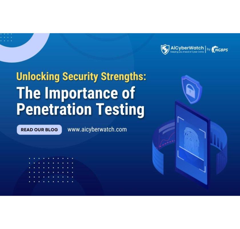 Penetration Testing Service in India