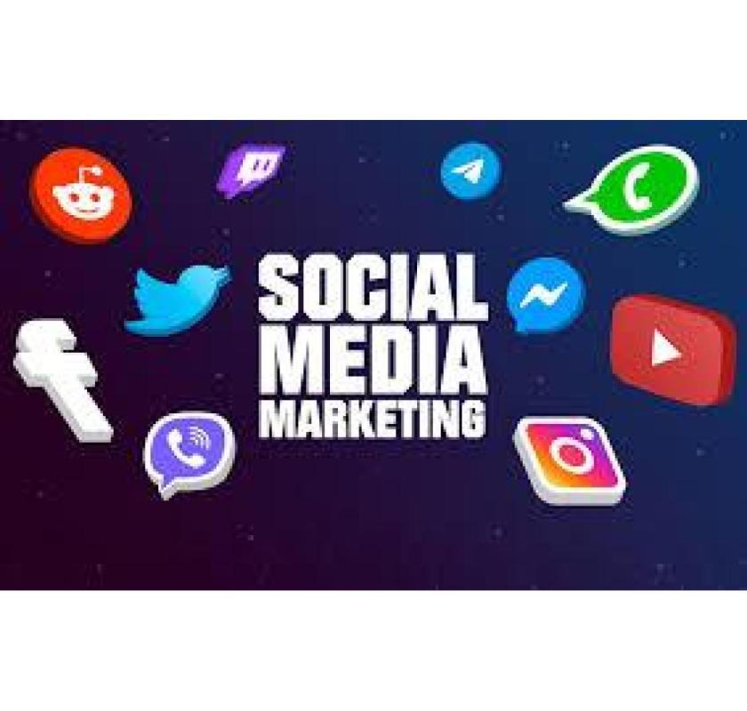 Choose The Best Social Media Marketing Company in Noida for Brand Growth