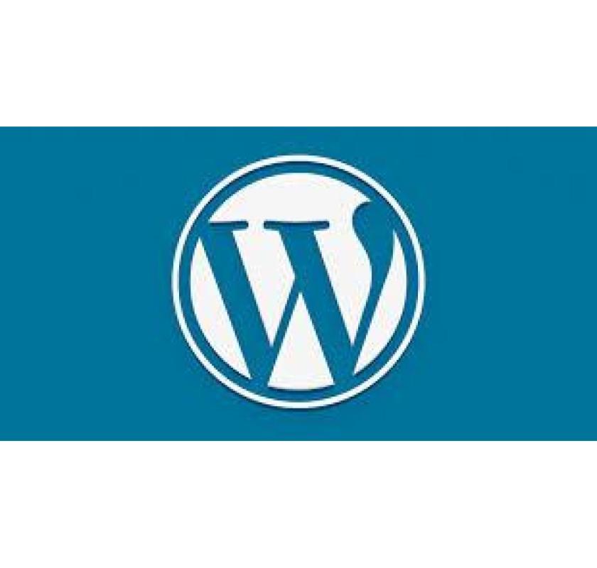 Choose the Best WordPress development company in India for Custom WordPress Solutions