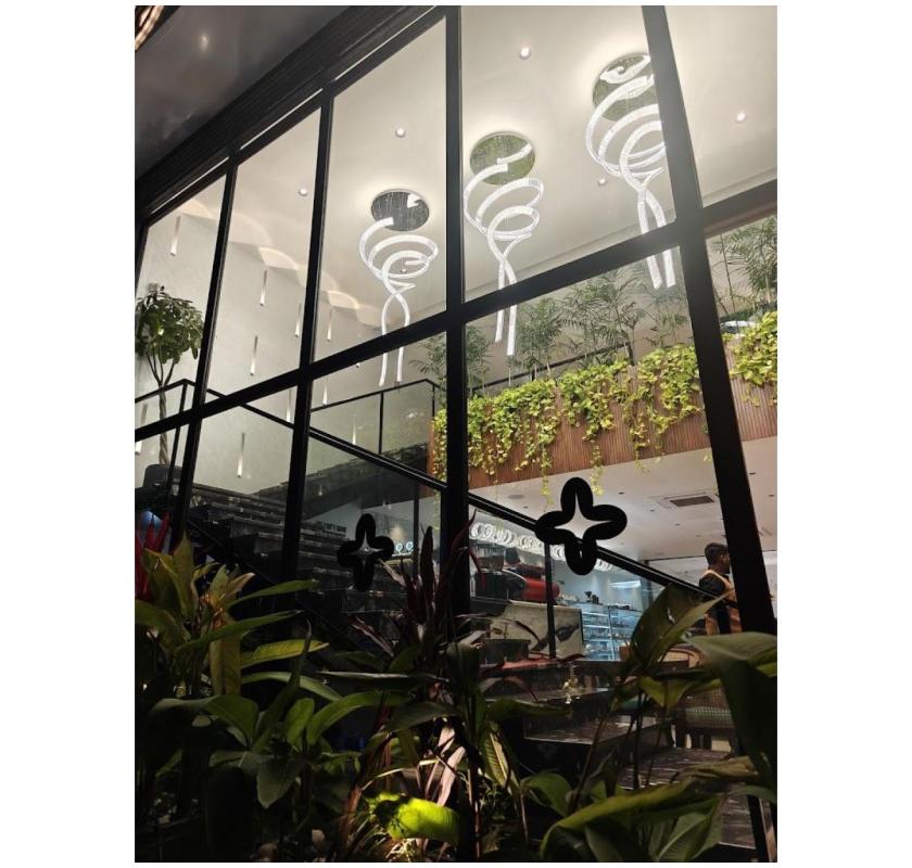 Best Cafe in Jubilee Hills Hyderabad - Stellar Reserve