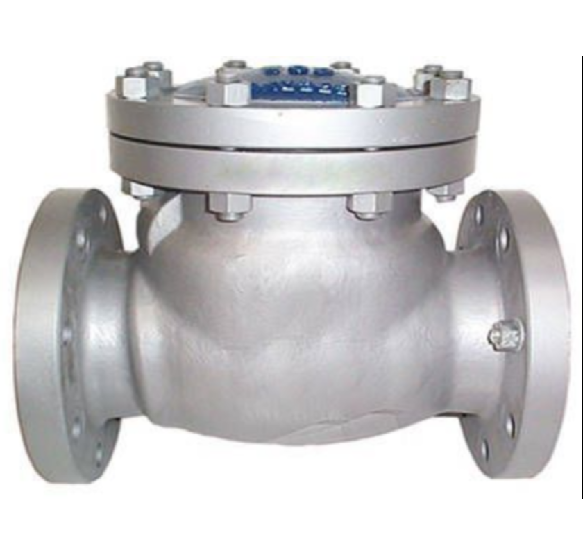 Hastelloy Check Valve