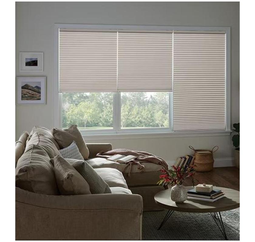 Decorative roller shades Orlando