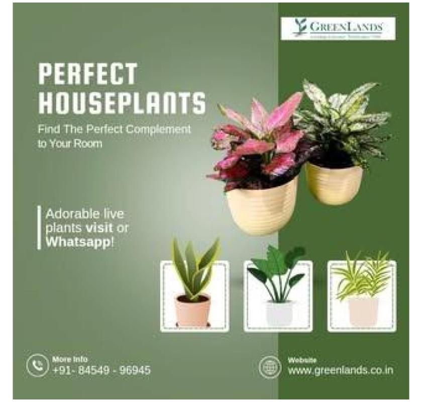 Outdoor Luxury Starts with the Finest Garden Furniture Dealers Mumbai – GreenLands