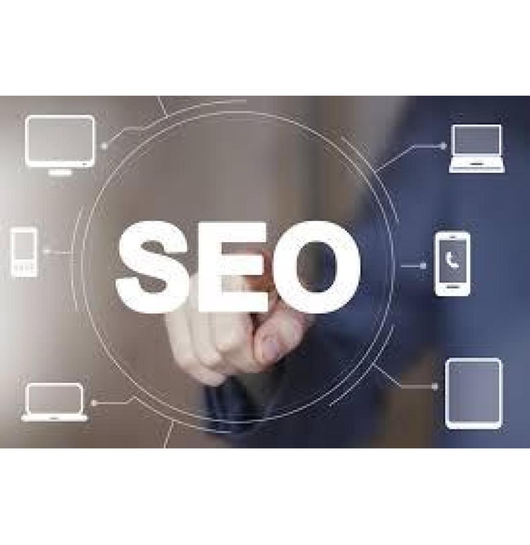 Result-Driven SEO Services that Boost Your Online Presence – Matebiz Pvt. Ltd