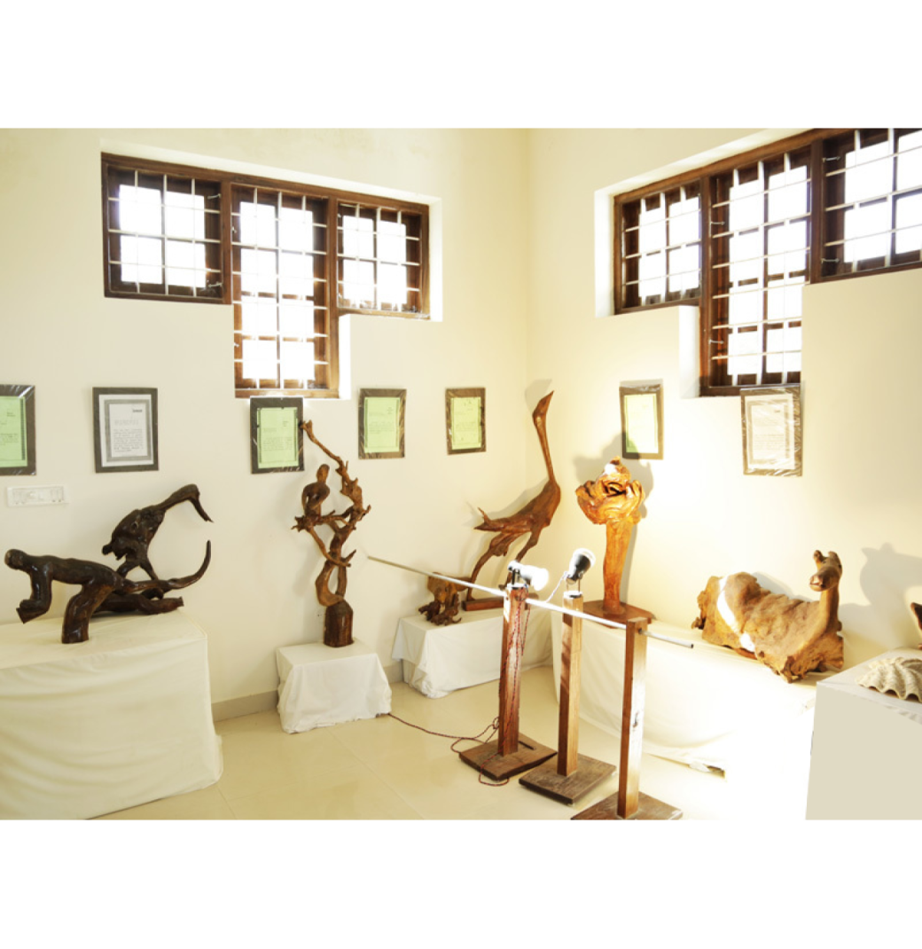 Bay Island Driftwood Museum – One of the Best Museums in Kottayam