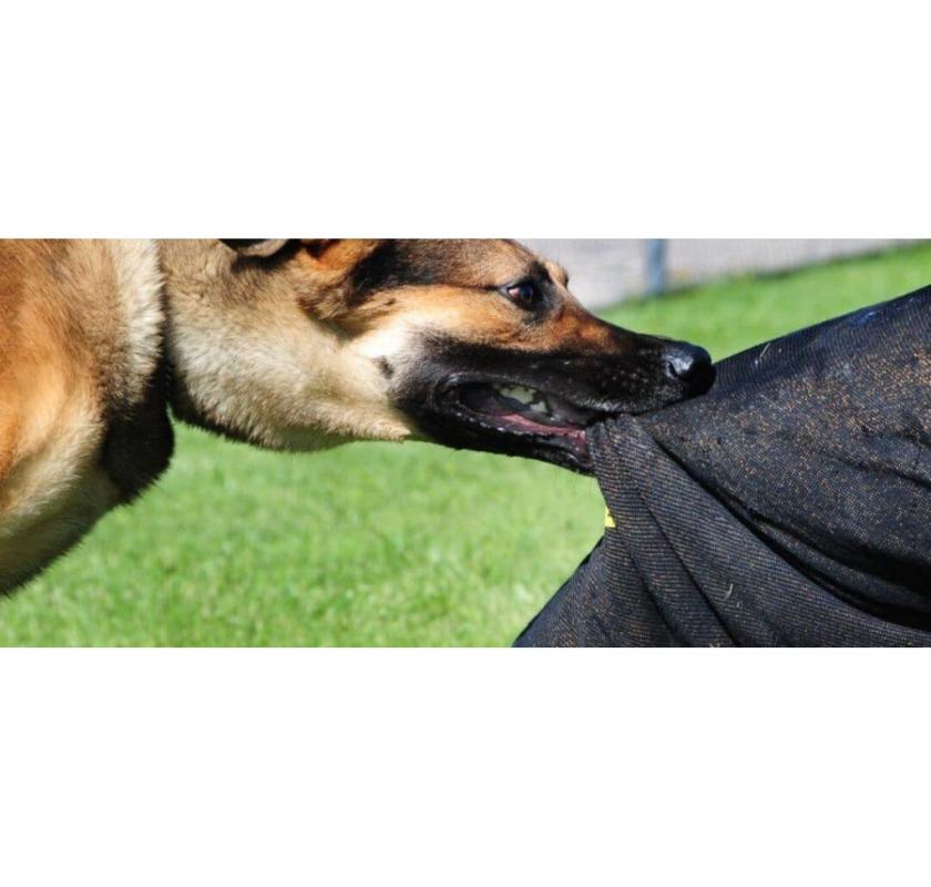 Dog Bite Injury Lawyer Chicago
