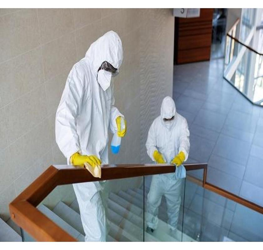 Everything You Should Know About Mould Remediation in Sydney