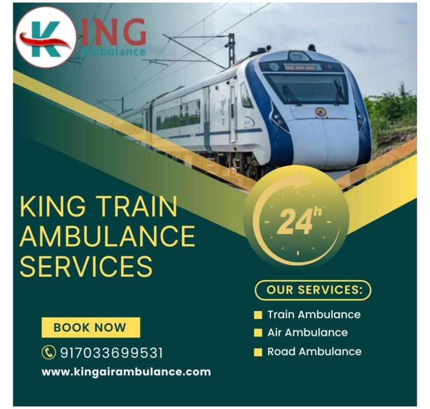 King Ensures You Can Travel Without any Fear in Delhi in a Train Ambulance