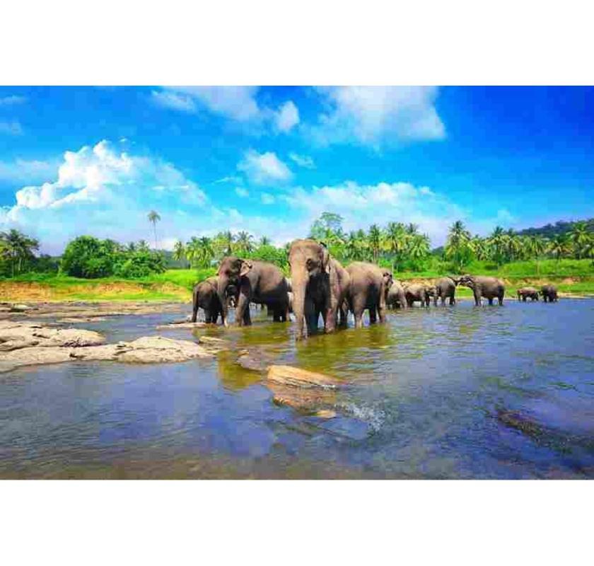  Sri Lanka Holidays – Tropical Adventures with Low Cost Holiday Packages