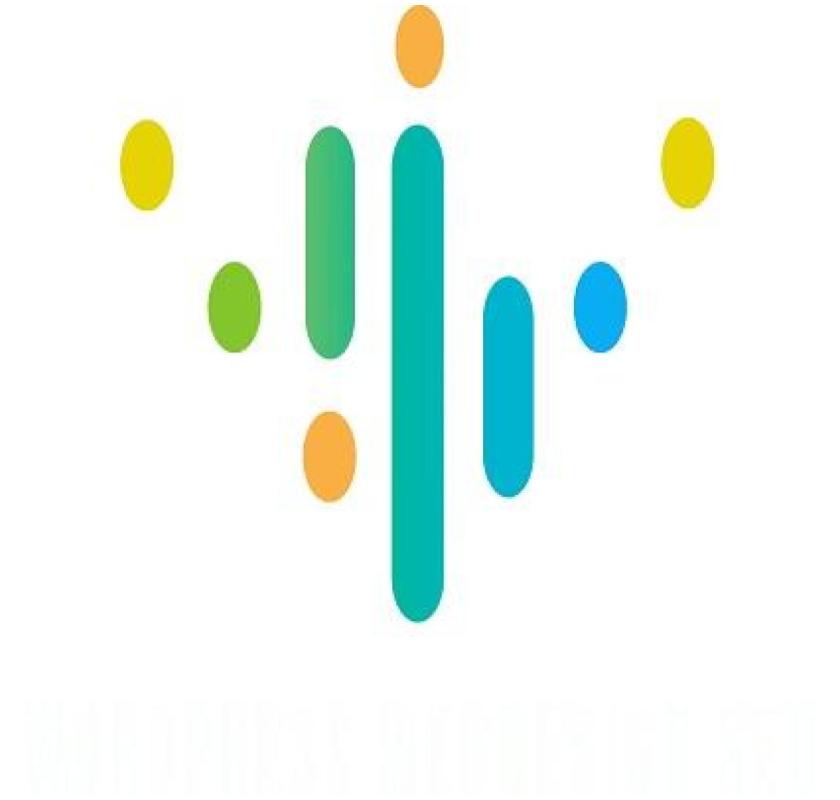 Best WordPress Web Design Agency for Custom Solutions - WordPress WebDesign SEO