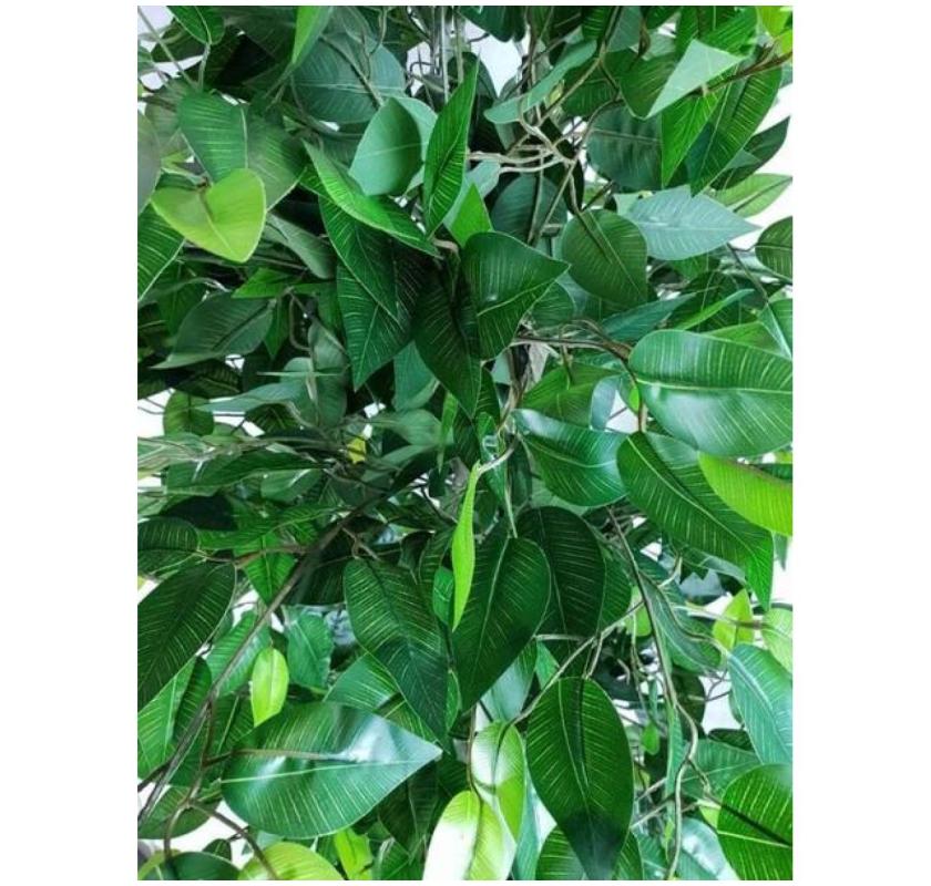 Mixed Green Bushy Artificial Ficus Tree 180cm