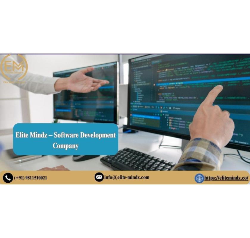 Best Software Development Company in Delhi – Elite Mindz