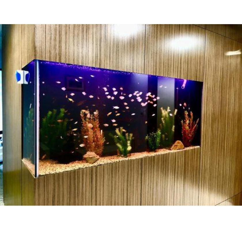 Aquarium fish tank with cabinets