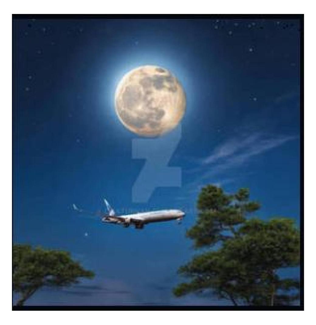 Copa Airlines phone number[+1 (800)-370–8748] - 3/3