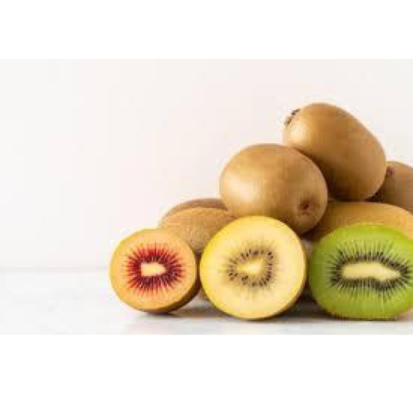 Premium Sungold Kiwi Plant for a Successful Kiwifruit Harvest