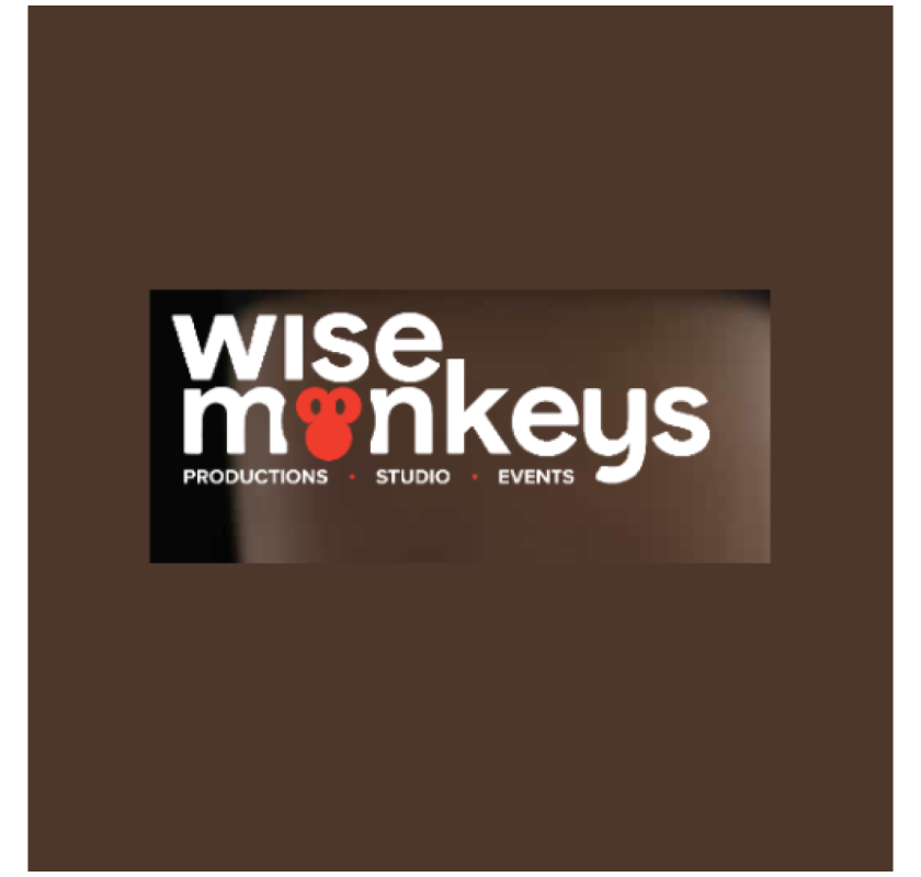 Video Production Company - Wise Monkeys