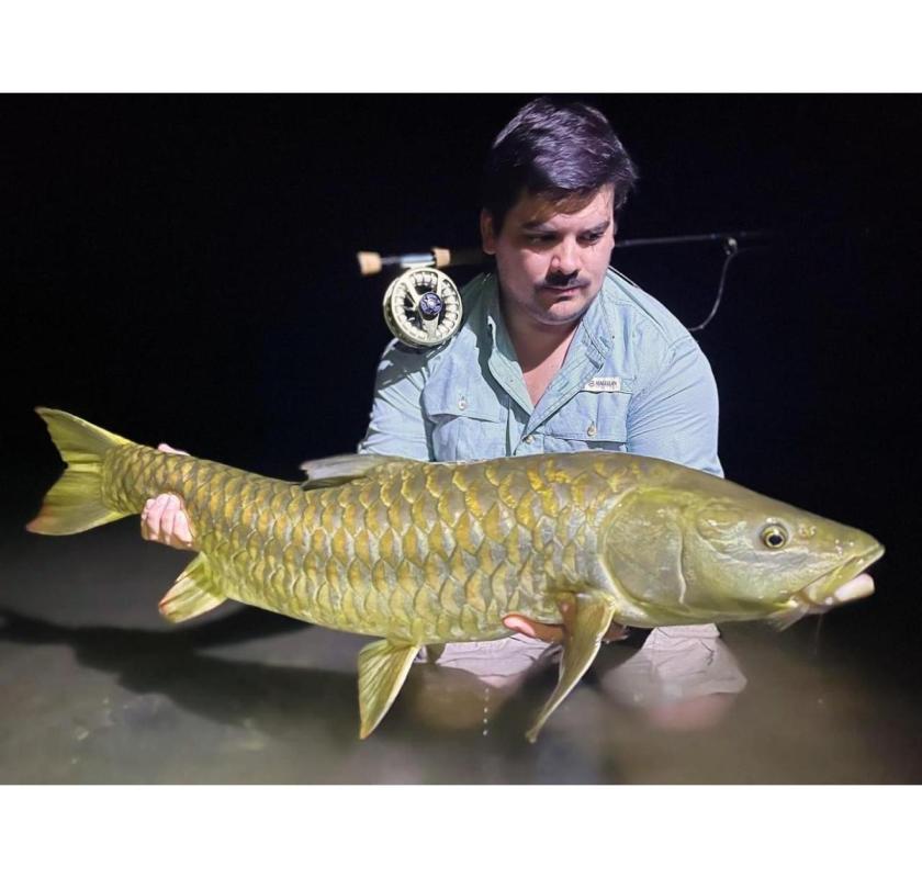 Mahaseer Fishing Camps