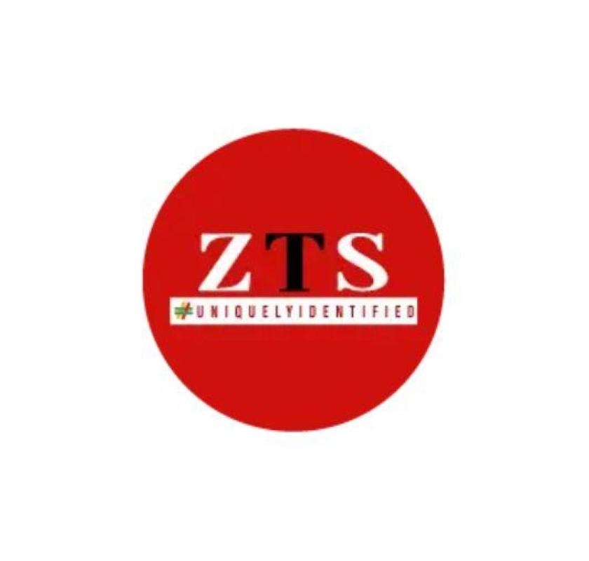 Best Website Development Company to Elevate Your Business