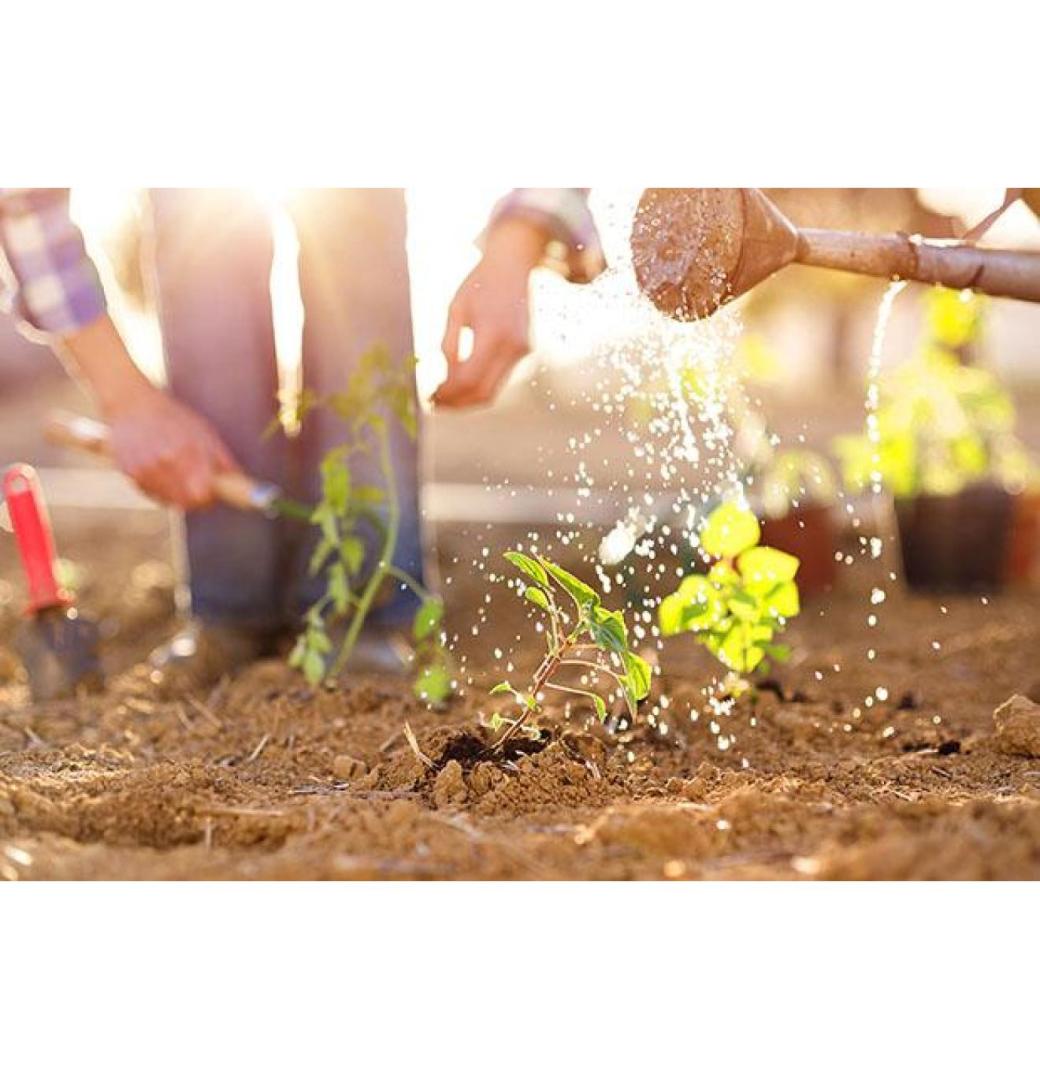 Lawn Mowing Services Hoppers Crossing - I love gardening - 2/2
